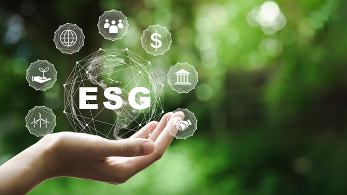 No momento, você está visualizando COEMA fortalece compromisso com ESG e sustentabilidade